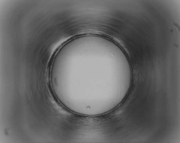 X0000103500987200809121008