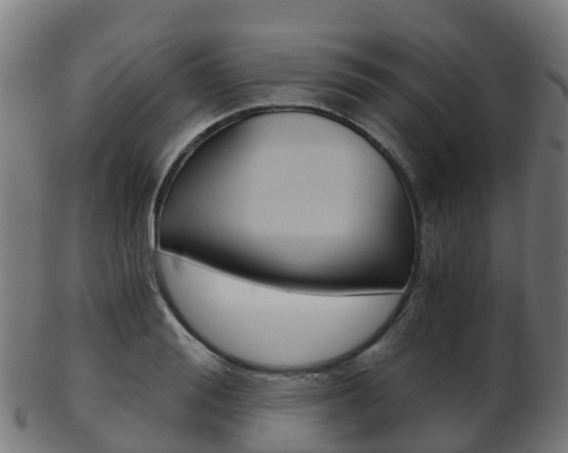 X0000103500988200809121008