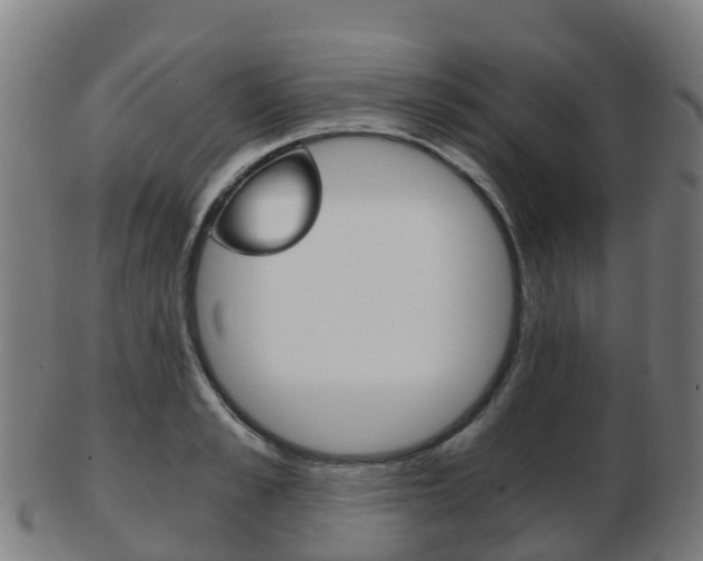X0000103500989200809121008