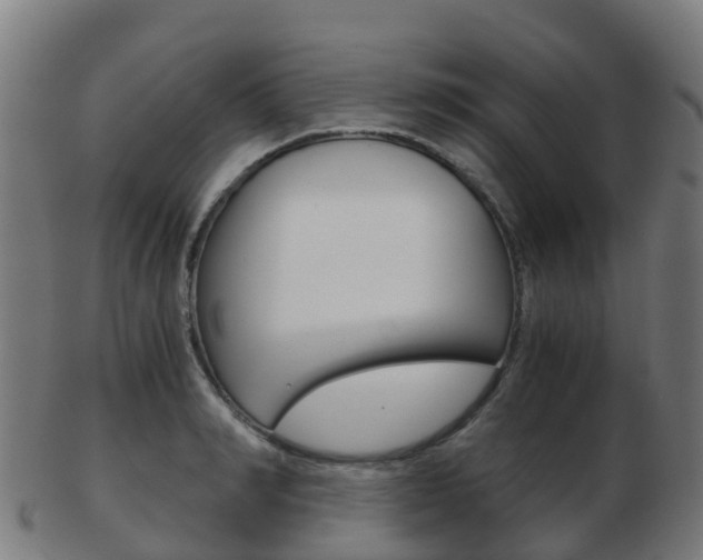 X0000103500990200809121008