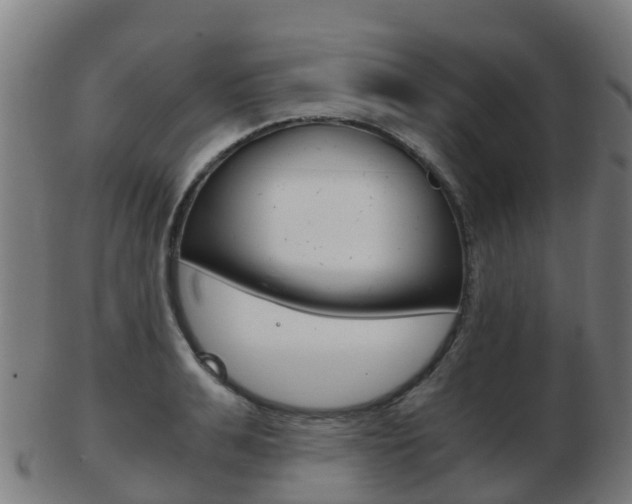 X0000103500991200809121008