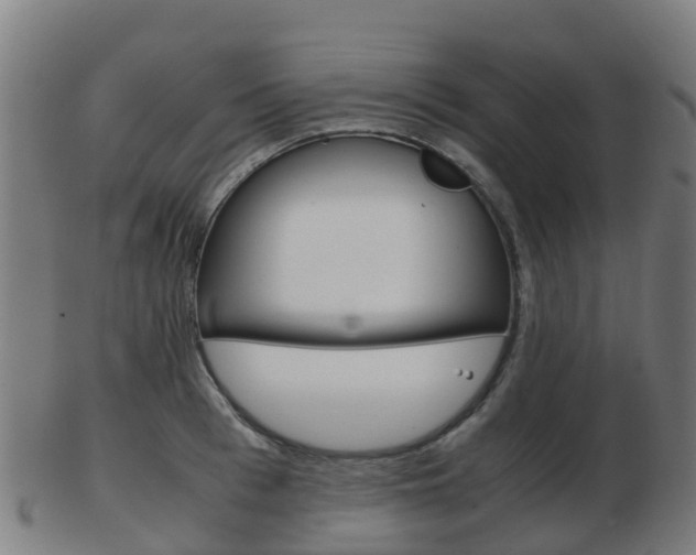 X0000103500993200809121008