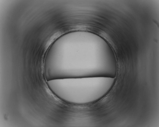 X0000103500994200809121008