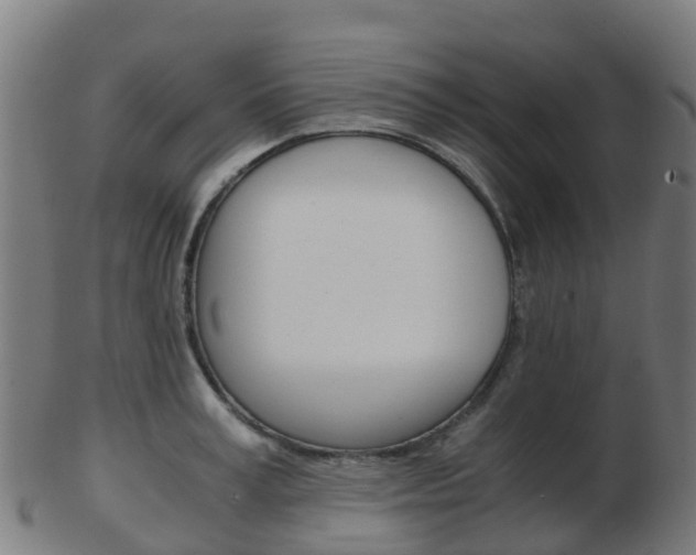X0000103500995200809121008