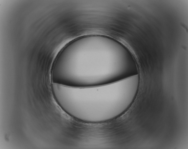 X0000103500996200809121008
