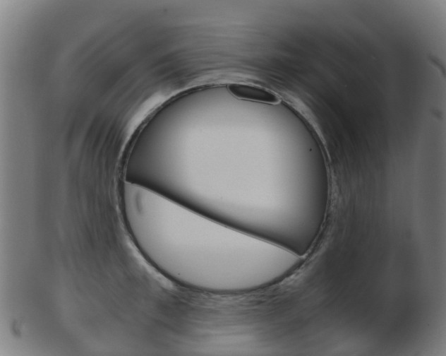 X0000103500997200809121008