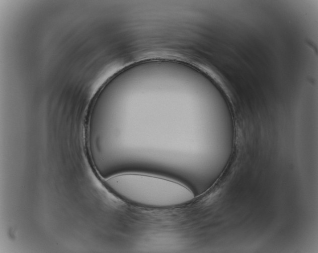 X0000103500999200809121008