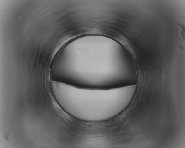 X0000103501000200809121008