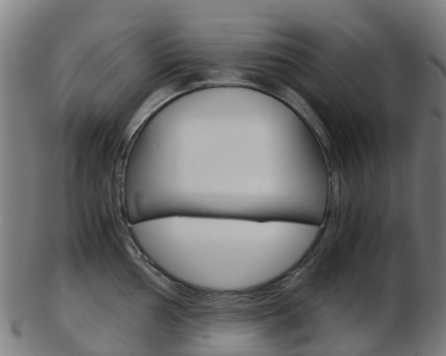 X0000103501002200809121008