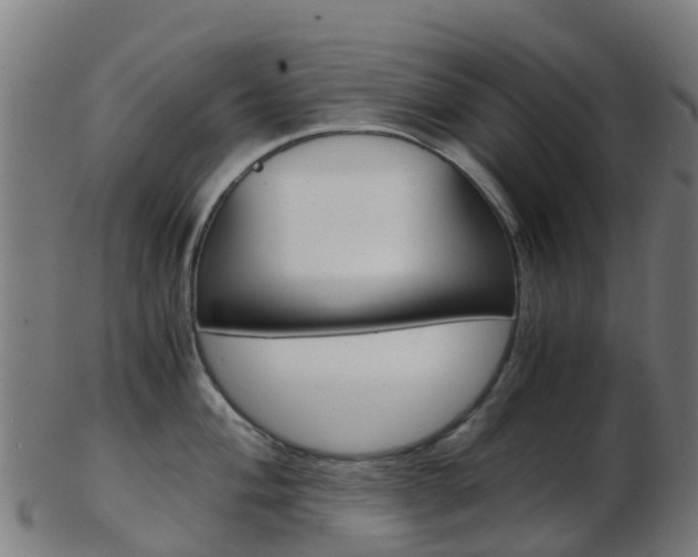 X0000103501004200809121008