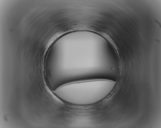 X0000103501005200809121008