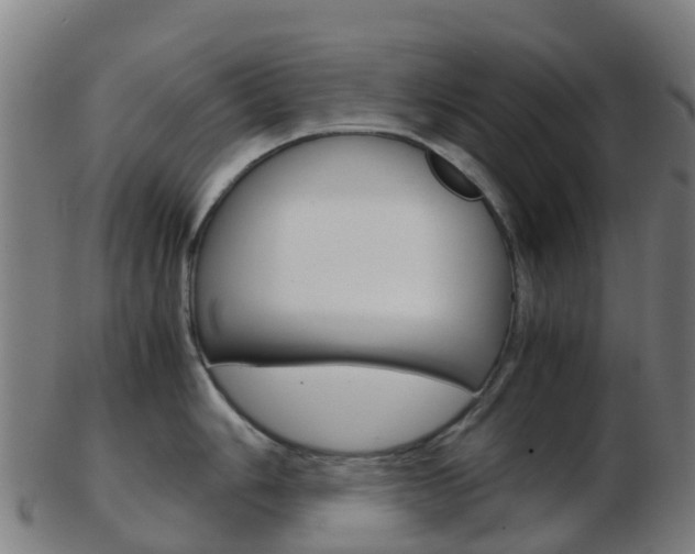 X0000103501006200809121008