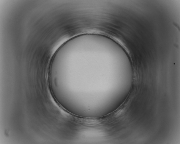 X0000103501007200809121008