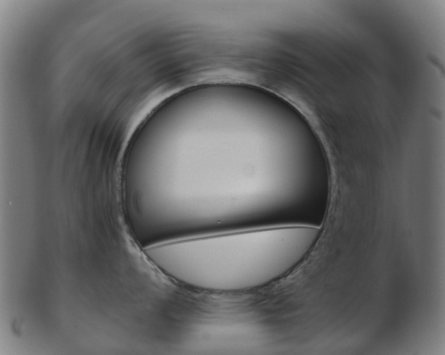 X0000103501008200809121008