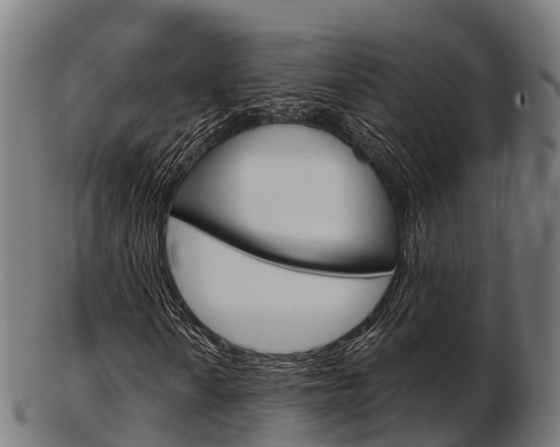 X0000103501010200809121007