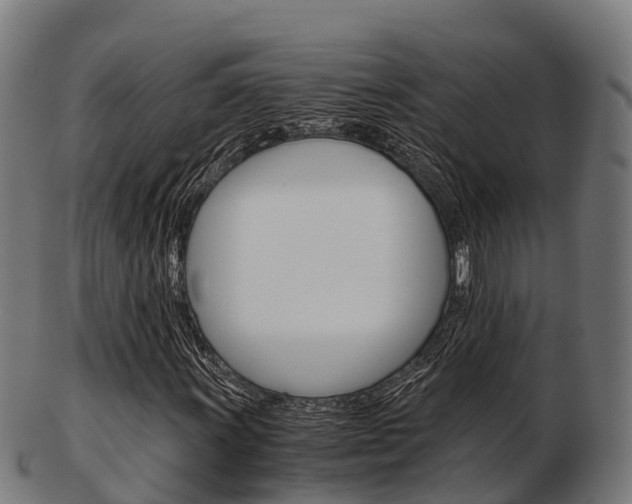 X0000103501011200809121007