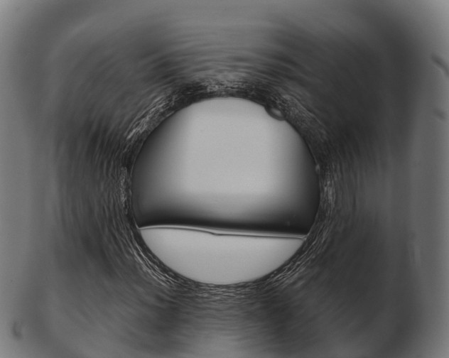 X0000103501012200809121007