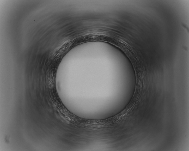 X0000103501014200809121007