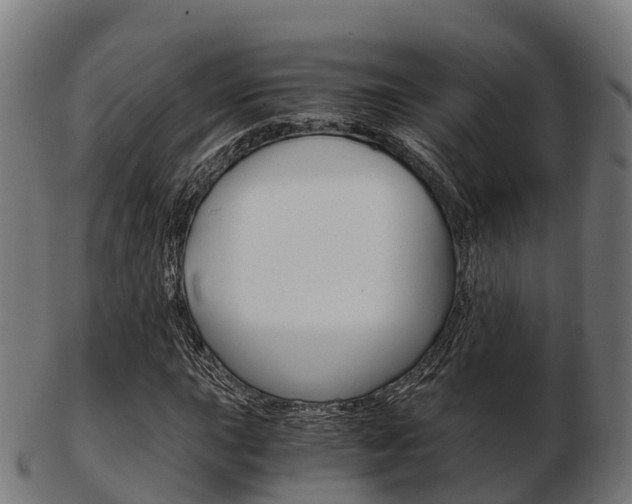 X0000103501015200809121007