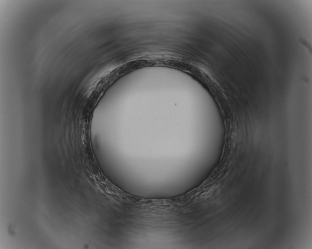 X0000103501016200809121007