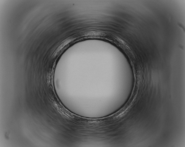 X0000103501017200809121007