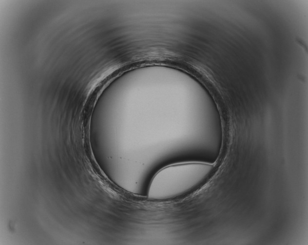 X0000103501018200809121007