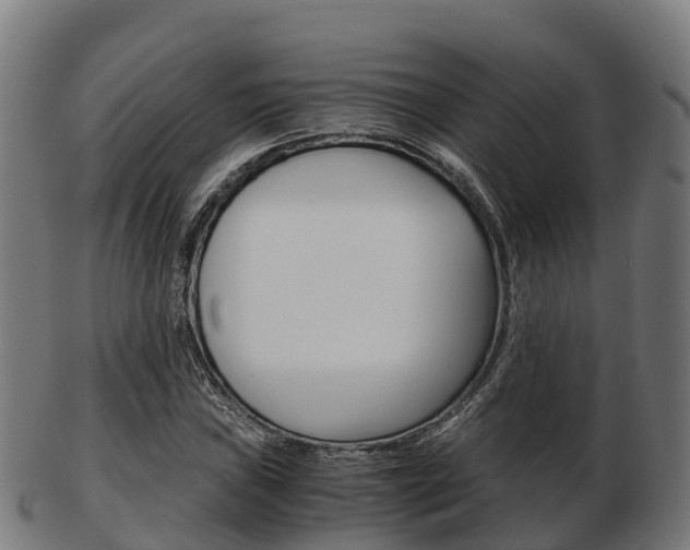 X0000103501019200809121007