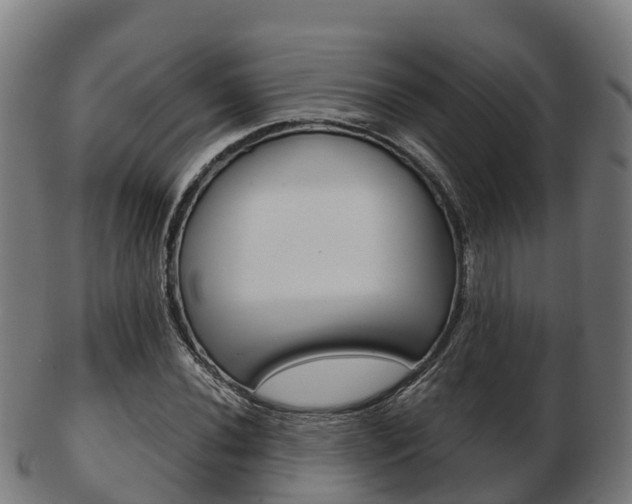 X0000103501020200809121007