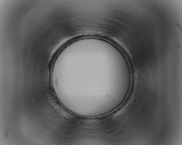 X0000103501021200809121008