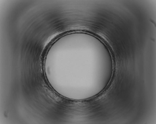 X0000103501022200809121008