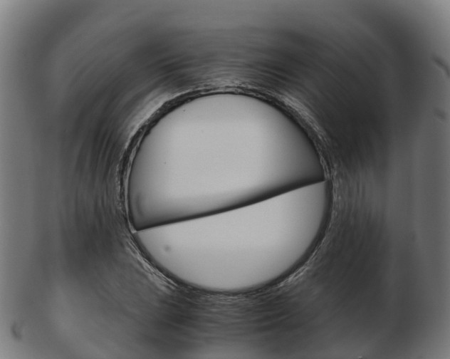 X0000103501023200809121008