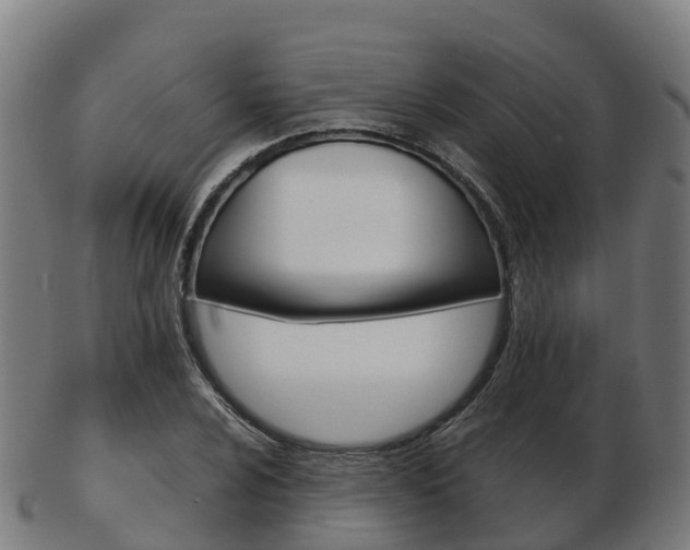 X0000103501024200809121008