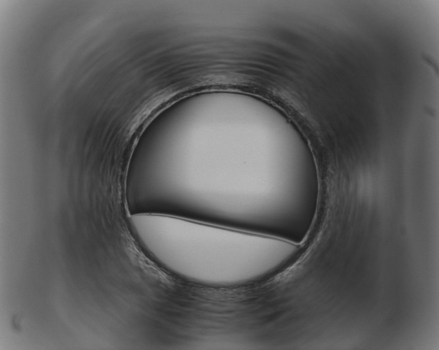 X0000103501025200809121008