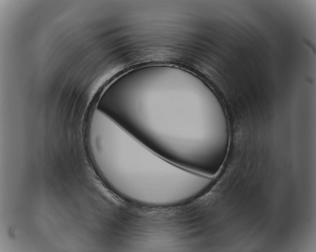 X0000103501026200809121008