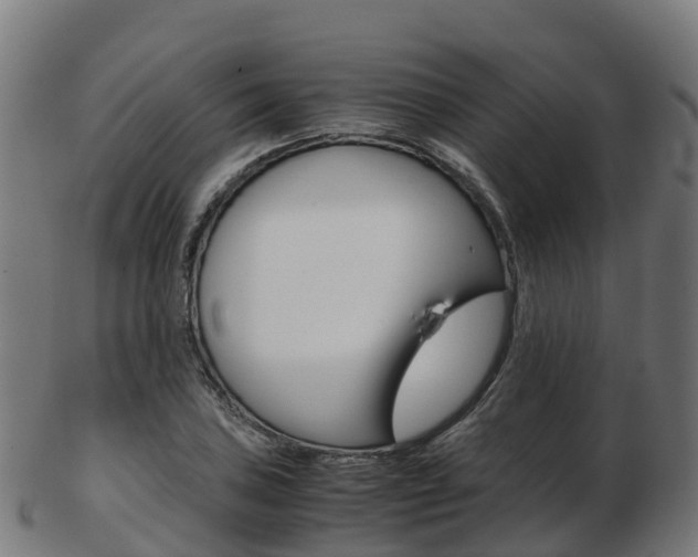 X0000103501027200809121008