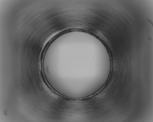 X0000103501028200809121008