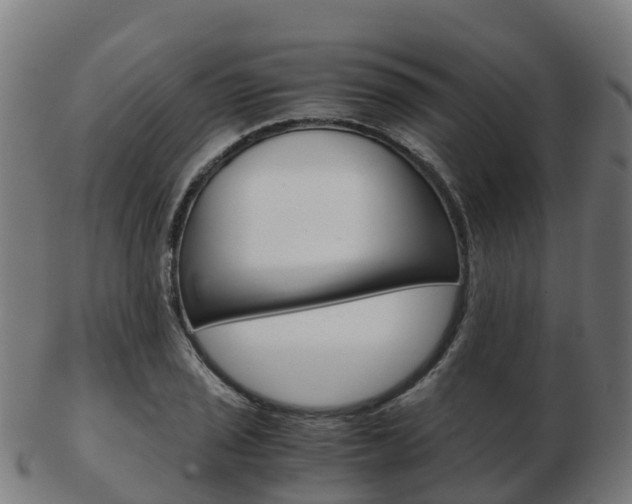 X0000103501029200809121008