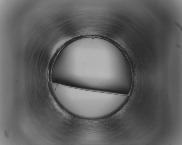 X0000103501030200809121008