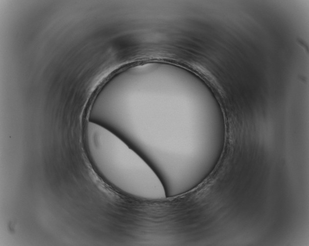 X0000103501031200809121008
