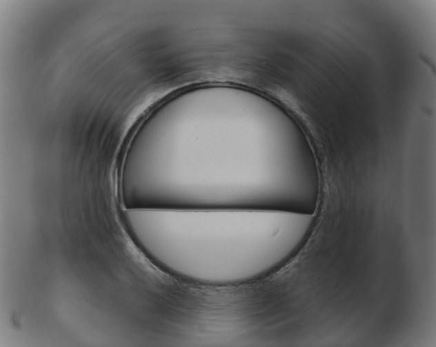 X0000103501032200809121008