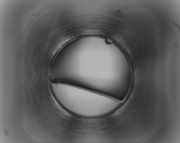 X0000103501033200809121008