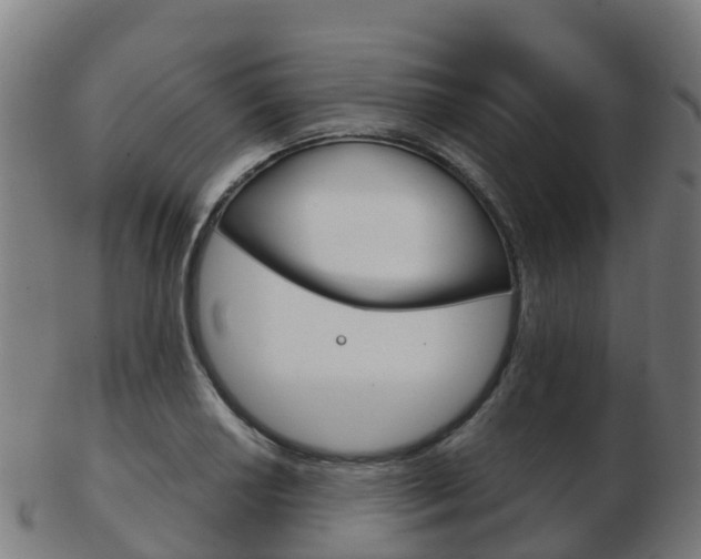 X0000103501034200809121008