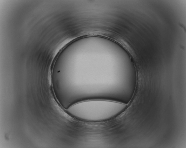 X0000103501036200809121008