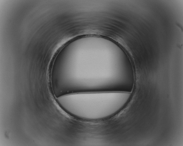 X0000103501037200809121008