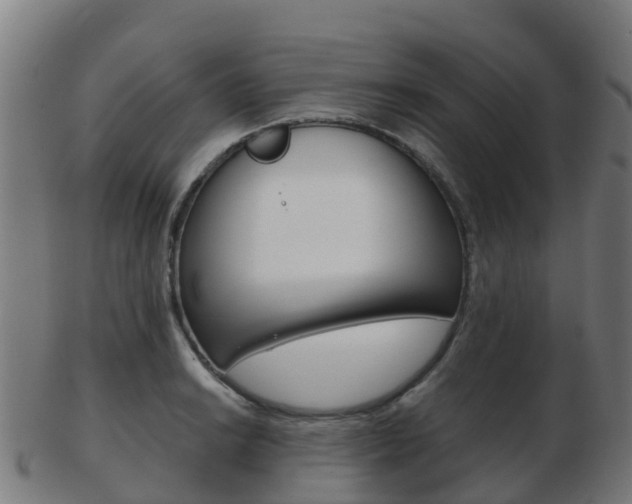 X0000103501038200809121008