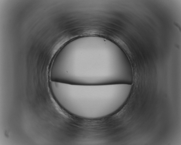 X0000103501039200809121008