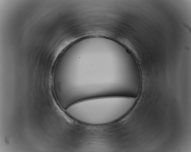 X0000103501040200809121008