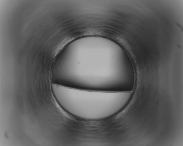 X0000103501041200809121008