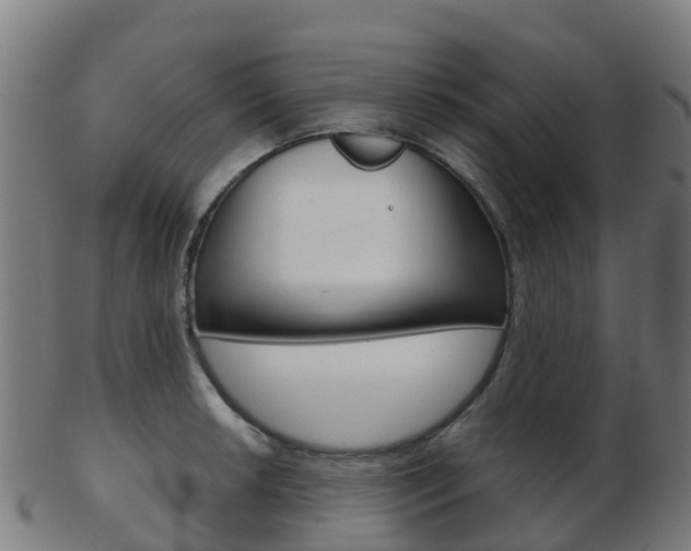 X0000103501042200809121008