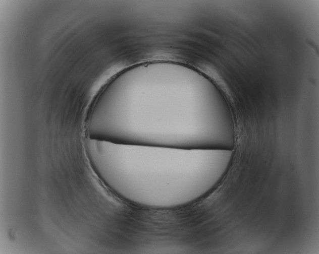 X0000103501043200809121008